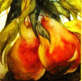 PEARS -SOLD